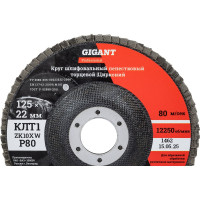 Круг лепестковый 125x22,2 мм; P80; цирконий, 10 шт Gigant Professional GNT-P80-10