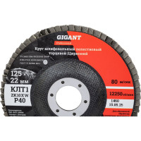 Круг лепестковый 125x22,2 мм; P40; цирконий, 10 шт Gigant Professional GNT-P40-10
