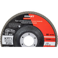 Круг лепестковый 125x22,2 мм; P120; цирконий, 10 шт Gigant Professional GNT-P120-10