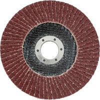 Круг лепестковый торцевой 125x22,2 упаковка 10шт. Gigant GRF-40-10