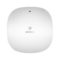Блок управления шлюз HOMMYN Hub HH-01 НС-1402862