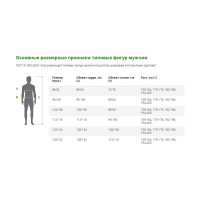 Полукомбинезон iForm ТУРБО серый Ком 657/112/158