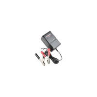 Зарядное устройство ANSMANN 9164016 ALCS 2-24 A BL1 4165