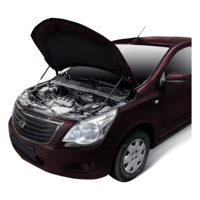 Газовые упоры капота АвтоУпор для Ravon R4 2016-н.в., 2 шт., URAR4011