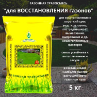 Газонная травосмесь Евро-Семена Для восстановления газона 5 кг, семена 58532
