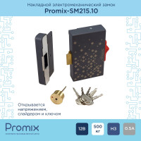 Накладной замок для запирания распашных дверей и калиток PROMIX Promix-SM215.10 graphite