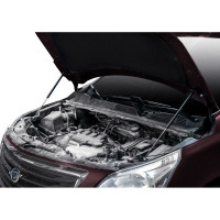 Газовые упоры капота АвтоУпор для Ravon R4 2016-н.в., 2 шт., URAR4011