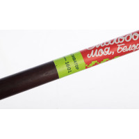 Совковая лопата Центроинструмент Молодость моя 0917-Ч