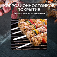 Набор больших шампуров (6 шт) FORESTER RZ-600SB