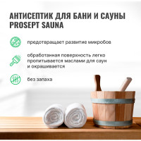 Антисептик для бань и саун PROSEPT SAUNA концентрат 1:10, 1 л 004-1
