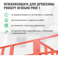 Огнебиозащита для древесины PROSEPT ОГНЕБИО PROF 1, 1 группа 5 л 007-5
