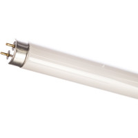 Лампа люминесцентная Camelion FT8-18W/54 6500K 3005
