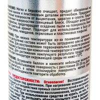 Полироль пластика для приборной панели (аэрозоль; яблоко; 335 мл) FILL INN FL010