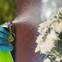 Ручной опрыскиватель с пульверизатором 1.25 л PALISAD 64735