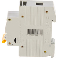 Автоматический 1-полюсный выключатель, 1А, С ВА47-29 4.5кА IEK MVA20-1-001-C