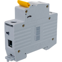 Автоматический 1-полюсный выключатель, 1А, С ВА47-29 4.5кА IEK MVA20-1-001-C