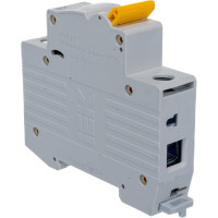 Автоматический 1-полюсный выключатель, 4А, С ВА47-29 4.5кА IEK MVA20-1-004-C