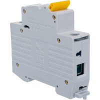 Автоматический выключатель IEK ВА47-29 1п, 50А, С, 4.5кА, MVA20-1-050-C