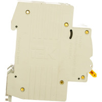 Автоматический 2-полюсный выключатель, 32А, С ВА47-29 4.5кА IEK MVA20-2-032-C