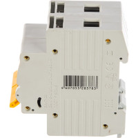 Автоматический 2-полюсный выключатель, 40А, С ВА47-29 4.5кА IEK MVA20-2-040-C