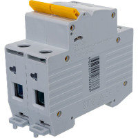 Автоматический 2-полюсный выключатель, 40А, С ВА47-29 4.5кА IEK MVA20-2-040-C