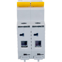 Автоматический 2-полюсный выключатель, 6А, С ВА47-29 4.5кА IEK MVA20-2-006-C