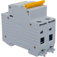 Автоматический 2-полюсный выключатель, 6А, С ВА47-29 4.5кА IEK MVA20-2-006-C