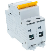 Автоматический 2-полюсный выключатель, 6А, С ВА47-29 4.5кА IEK MVA20-2-006-C