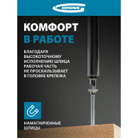 Набор бит (сталь S2; PZ 1х25 мм; 10 шт.) GROSS 11339