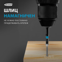 Набор бит (сталь S2; PH 3х50 мм; 10 шт.) GROSS 11336