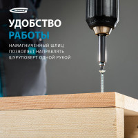 Набор бит (сталь S2; PH 1х25 мм; 2 шт.) GROSS 11349