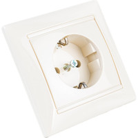 Розетка Legrand с заземлением Legrand Valena с лицевой панелью и рамкой в сборе 16А 250В винтовые зажимы слоновая кость 774323