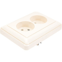Двухместная розетка с рамкой, слоновая кость WESSEN 59 Systeme Electric RS16-254-28