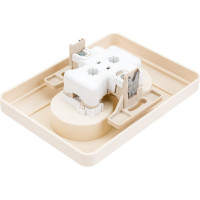 Двухместная розетка с рамкой, слоновая кость WESSEN 59 Systeme Electric RS16-254-28