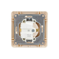 Розетка с заземлением Systeme Electric с защитными шторками и с рамкой, слоновая кость WESSEN 59 SchE RS16-152-28
