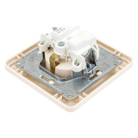 Розетка с заземлением Systeme Electric с защитными шторками и с рамкой, слоновая кость WESSEN 59 SchE RS16-152-28