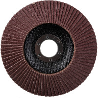 Диск наждачный лепестковый для УШМ (125х22,2 мм; Р100) FIT IT 39555