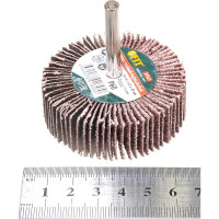 Диск лепестковый радиальный для дрели (60х20 мм; P60) FIT IT 39563