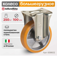 Колесо со стационарной опорой (100 мм; 250 кг) Tellure rota 658602
