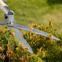 Бордюрный кусторез 650мм Без бренда Рос 60810