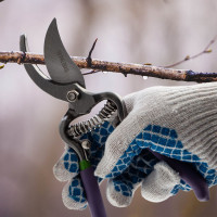 Секатор 200 мм, пружина возвратная спирал.типа, легированная сталь, обрезинен.ручки PALISAD 60561