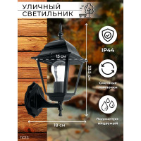 Садово-парковый светильник, четырехгранный на стену вверх 60W E27 230V, черный Feron 4101 11014