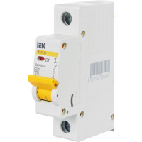 Автоматический 1-полюсный выключатель, 1А, С ВА47-29 4.5кА IEK MVA20-1-001-C