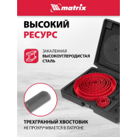 Набор кольцевых пил по дереву (19-127 мм; 12 шт.) MATRIX 70472