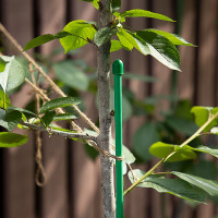 Опора колышек высота 1,5м, диаметр трубы 10 мм /Р/ Без бренда 64472