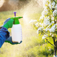 Ручной опрыскиватель PALISAD 2 л с насосом и клапаном сброса давления 64738