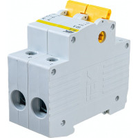 Выключатель нагрузки IEK ВН-32 63А/2П ИЭК MNV10-2-063