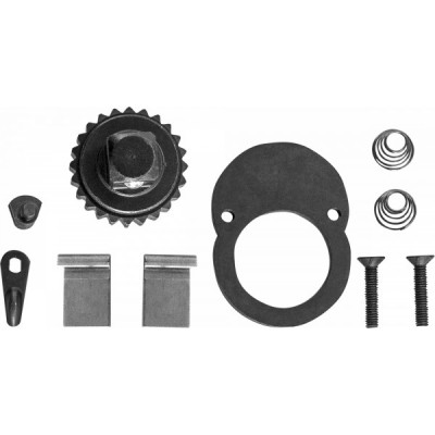 Jonnesway T04250-RK Ремонтный комплект для динамометрического ключа Т04M250 48493