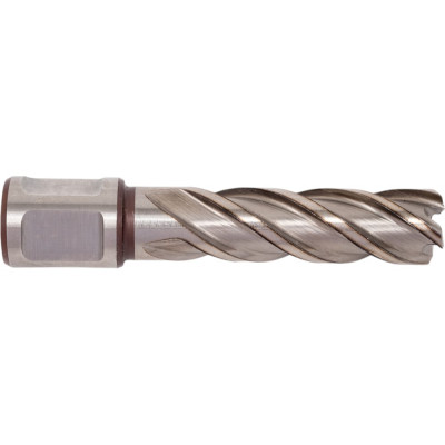 FE POWERTOOLS Кольцевая фреза HSS 16x55 FE5516