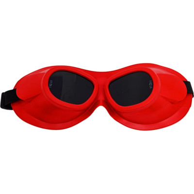 Защитные очки РОСОМЗ ЗН18 DRIVER RIKO 7 21833 закрытые, с непрямой вентиляцией